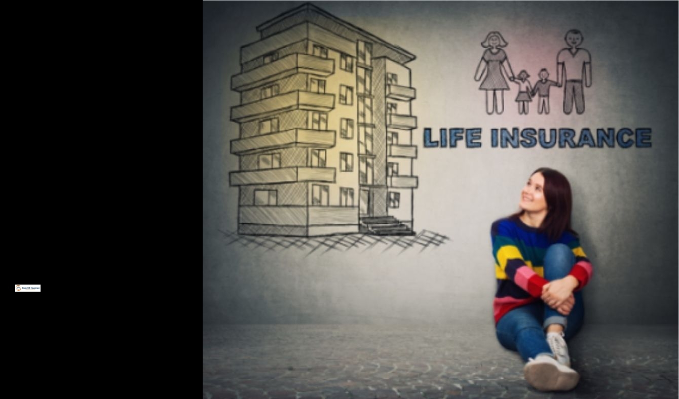 Best term life insurance